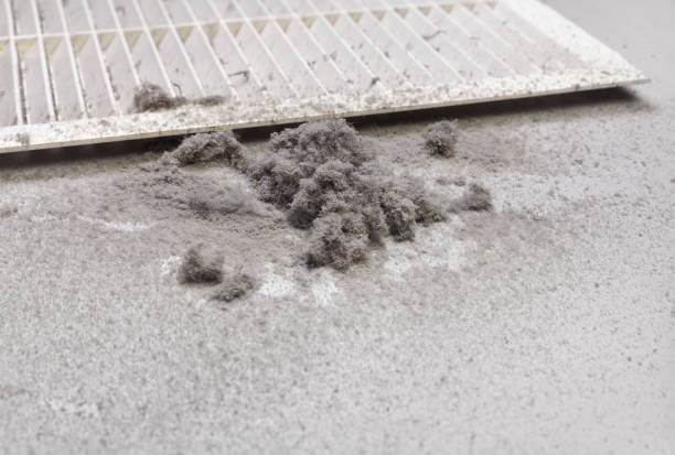 Best Dryer Vent Cleaning Services  in Spurgeon, TN