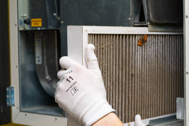 Best Home Air Vent Cleaning  in Spurgeon, TN