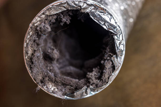 Best Affordable HVAC Duct Cleaning  in Spurgeon, TN